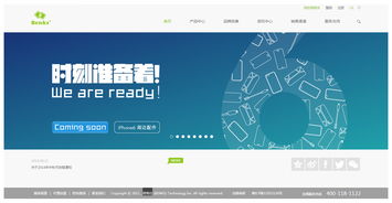 热烈祝贺邦克仕官方网站成功上线运营 匠心独运，引领企业网页设计新标杆